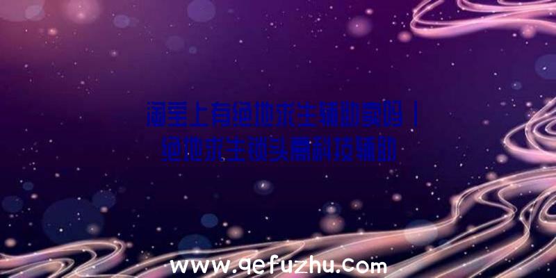 「淘宝上有绝地求生辅助卖吗」|绝地求生锁头高科技辅助